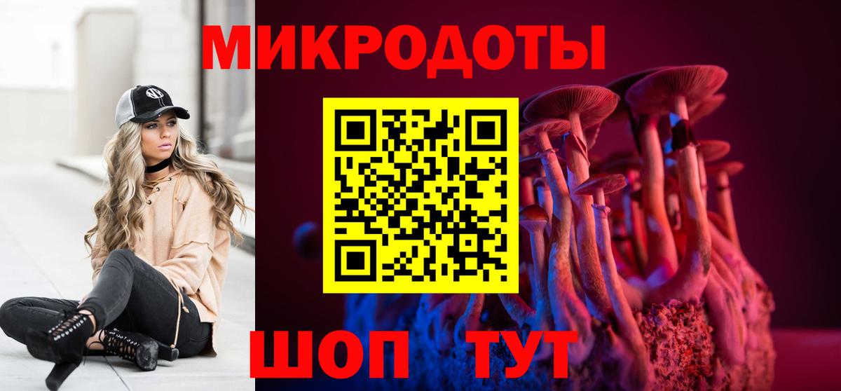 Псилоцибиновые грибы Psilocybe  Вход с VPN  купить закладку  Галлюциногенные грибы прущие грибы  Касимов 