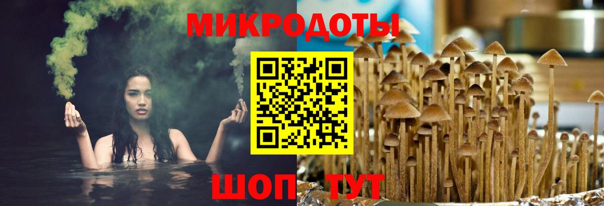 Псилоцибиновые грибы GOLDEN TEACHER Касимов